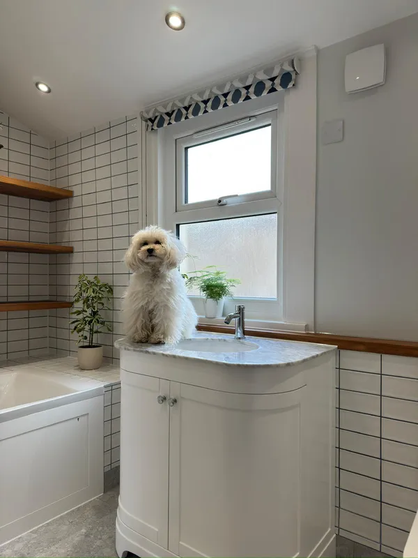 Modern Bathroom Project 7